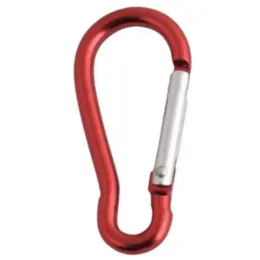 Mini Carabiner Red
